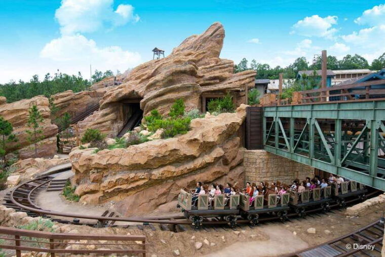 hong-kong-disneyland-disney-premier-access
