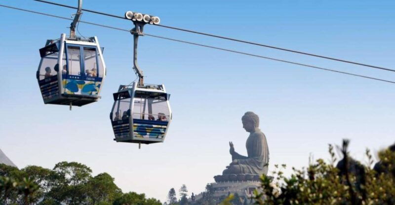 hong-kong-dolphin-cruise-big-buddha-lantau-island-tour