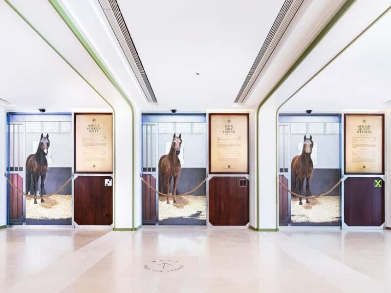 Hong Kong Jockey Club Racecourse Guided Tour with F&B - Who Is This Tour Best For?