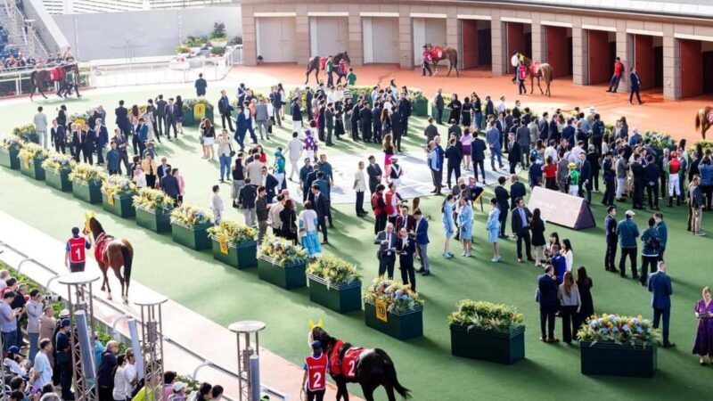 Hong Kong Jockey Club Racecourse Guided Tour with F&B - Final Thoughts