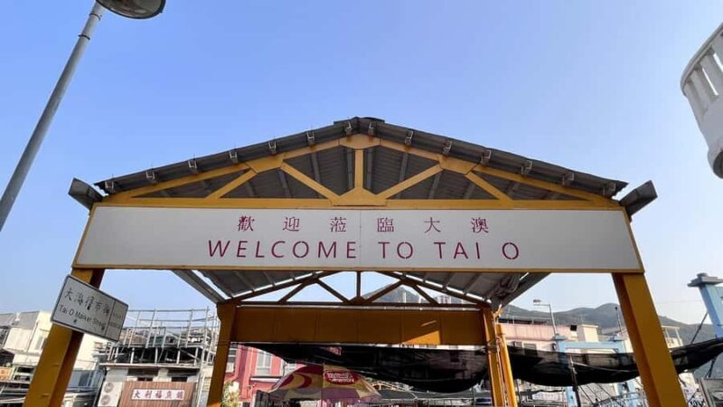 Hong Kong: Lantau Island Tour Cable Car & Village Lunch - Who Is This Tour Best Suited For?