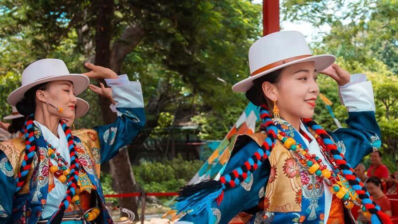 Hong Kong : Private Shenzhen Tour of Ancient & Folk Villages - A Deep Dive Into the Tour Experience