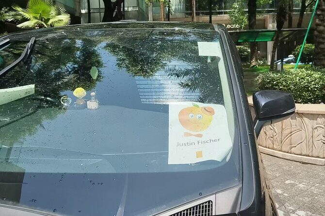 Hongkong Kowloon station to hotel/ HKG airport : Pvt, Meet& Greet - Final Thoughts