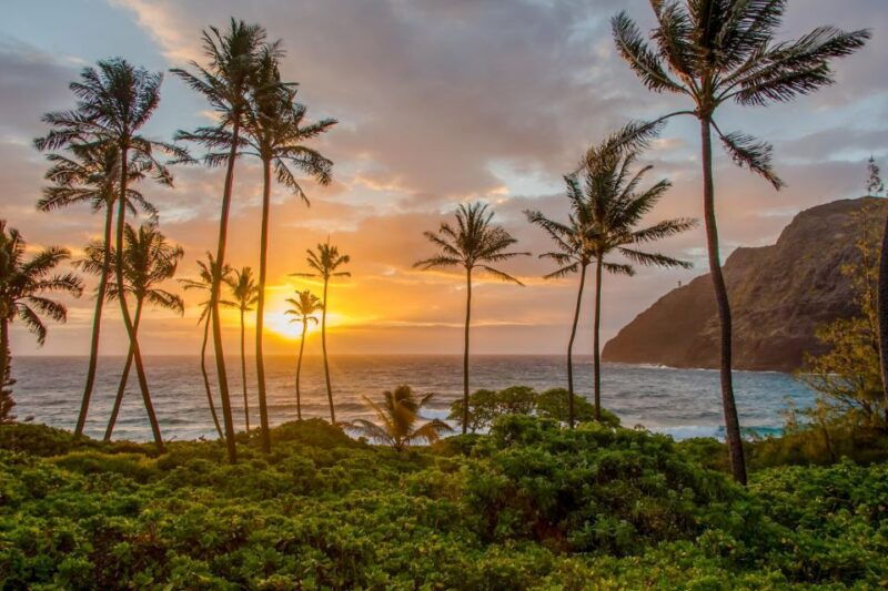 honolulu-3-hour-sunrise-photos-tour-with-malasadas
