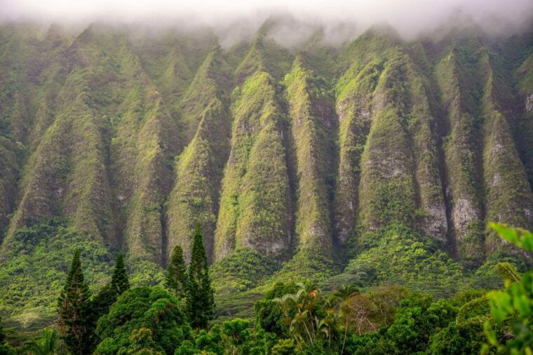 honolulu-3-hour-sunrise-photos-tour-with-malasadas