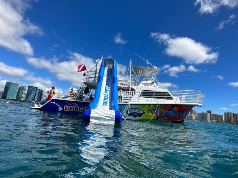 Honolulu: Deluxe Waikiki Snorkel and Wildlife Cruise - What Makes the Waikiki Snorkel and Wildlife Cruise Stand Out?