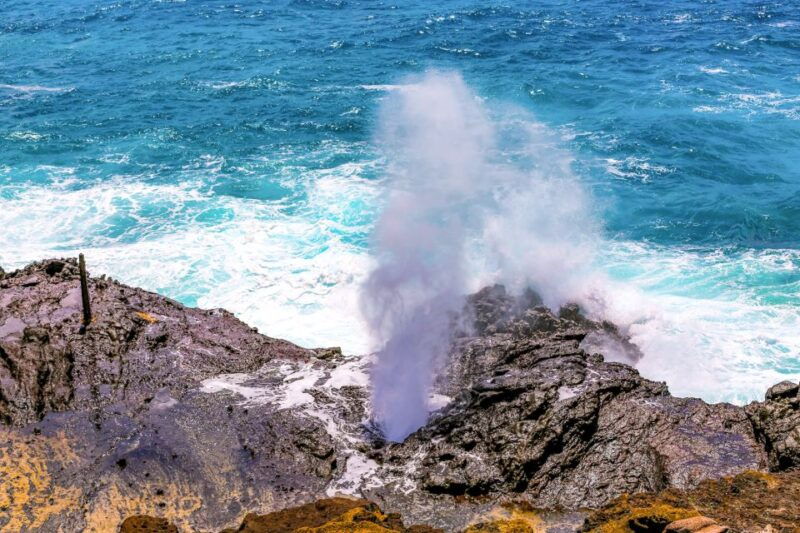 honolulu-oahu-sights-and-bites-island-tour