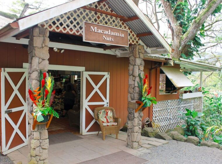honolulu-oahu-sights-and-bites-island-tour