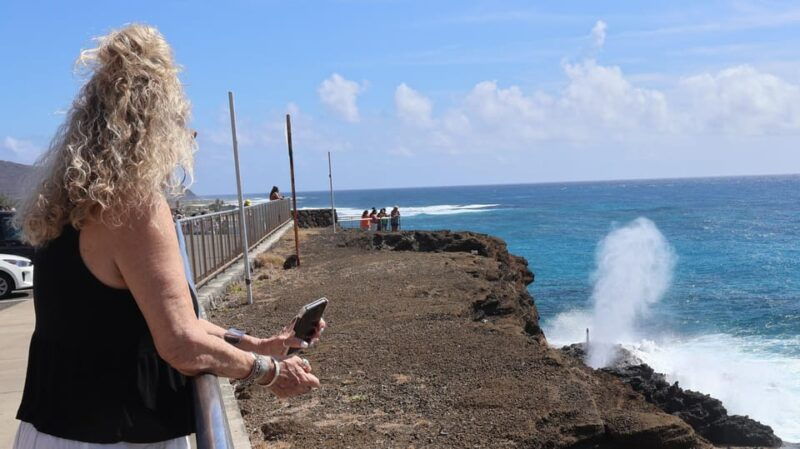 honolulu-stunning-views-of-oahu-half-day-scenic-tour