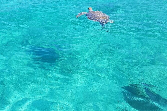 honor-roll-private-bahamas-boat-charter