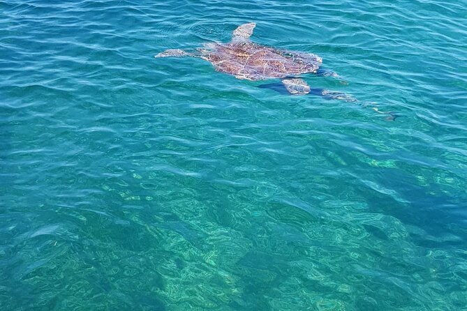 honor-roll-private-bahamas-boat-charter