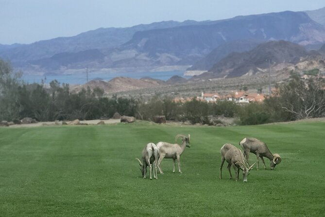 hoover-dam-self-guided-tour-on-a-canam-trike