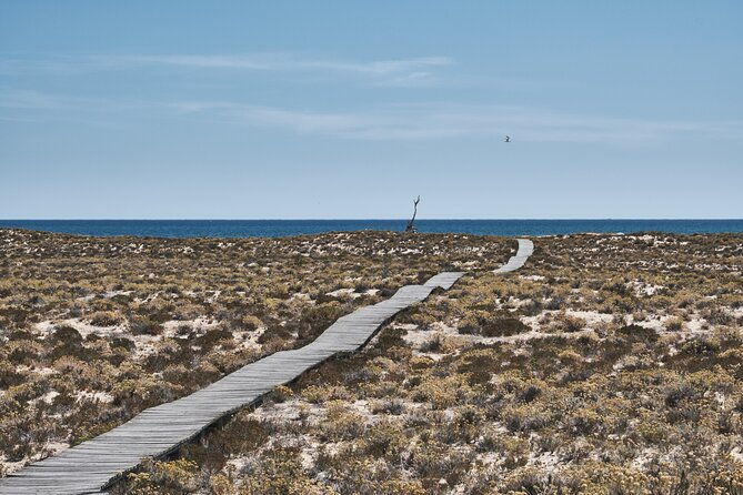 hop-on-hop-off-3-islands-deserta-farol-and-culatra