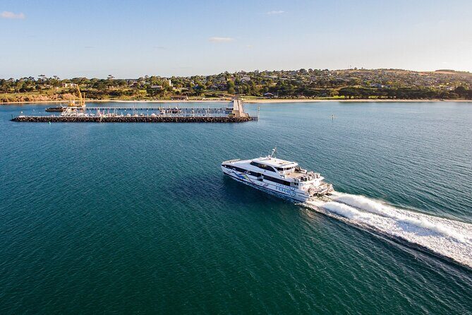 Hop On Hop Off Bellarine Bellarine Peninsula - Who Is This Tour Best For?