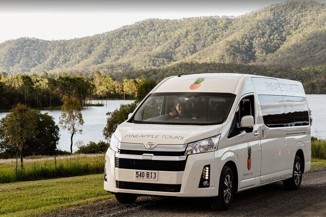 Hop on Hop Off Bus - Tamborine Mountain - In-Depth Look at the Itinerary
