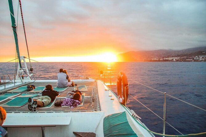 hop-on-hop-off-bus-tour-and-catamaran-whale-dolphin-watching