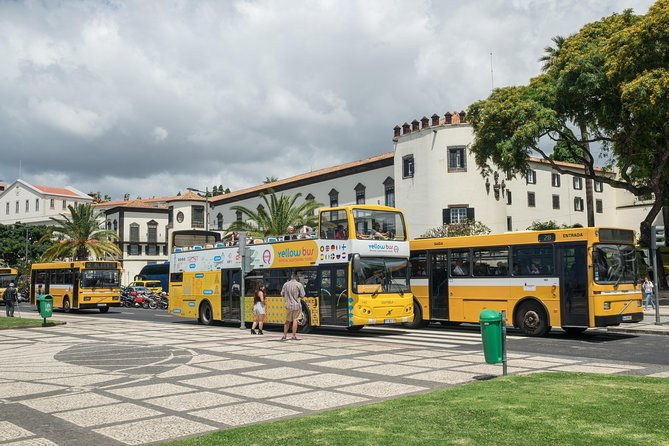 hop-on-hop-off-bus-tour-and-catamaran-whale-dolphin-watching