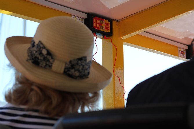 Hop-On Hop-Off Cape Town Canal Cruise - Is It Worth It?