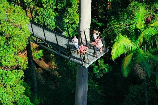 Hop on Hop off - Tamborine Rainforest Skywalk + Glow Worm Caves - Introduction: An Invitation to Explore Tamborine Mountain