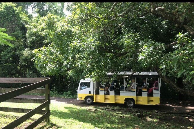 hop-on-hop-off-tour-air-con