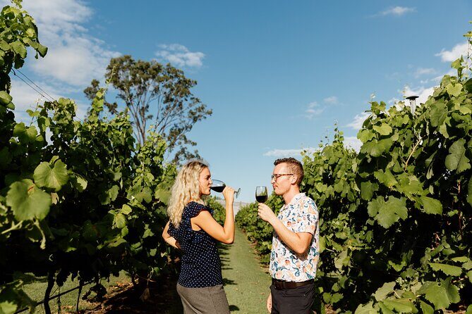 Hop on Hop off Wine tasting tour to Tamborine Mountain - Final Thoughts