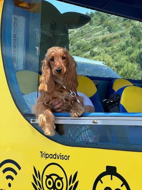 Hop-On Hop-Off Yellow Cabrio Tour: See Dubrovnik in 90mins - FAQ