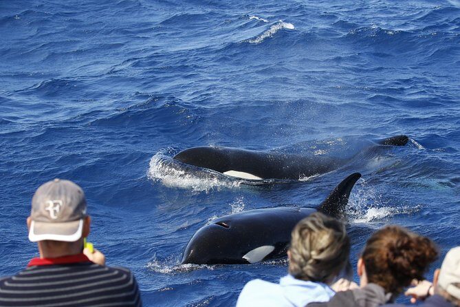 Horizontal Falls & Dampier Peninsula Discovery Tour - Authenticity and Guide Expertise