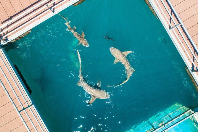 Horizontal Falls Helicopter Adventure from Broome - Who Will Love This Tour?