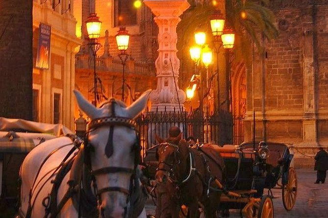 horse-and-buggy-ride-in-seville-with-guide