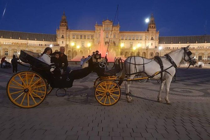 horse-and-buggy-ride-in-seville-with-guide