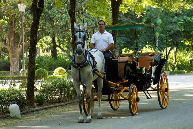 horse-and-buggy-ride-in-seville-with-guide