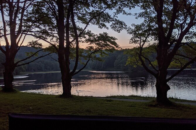 horse-and-carriage-ride-through-moses-h-cone-park