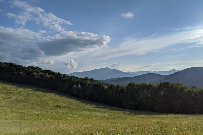 horse-and-carriage-ride-through-moses-h-cone-park
