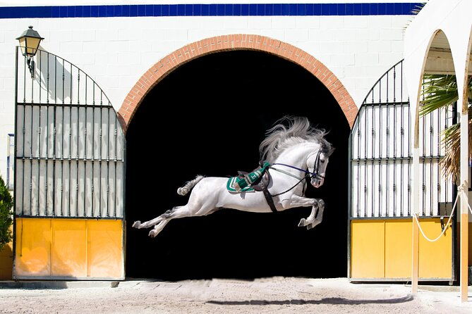 horse-and-flamenco-show-in-malaga