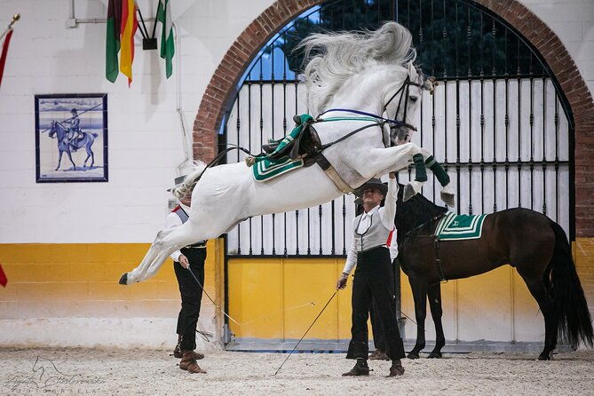 horse-and-flamenco-show-in-malaga-with-dinner