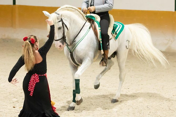 horse-and-flamenco-show-in-malaga-with-dinner