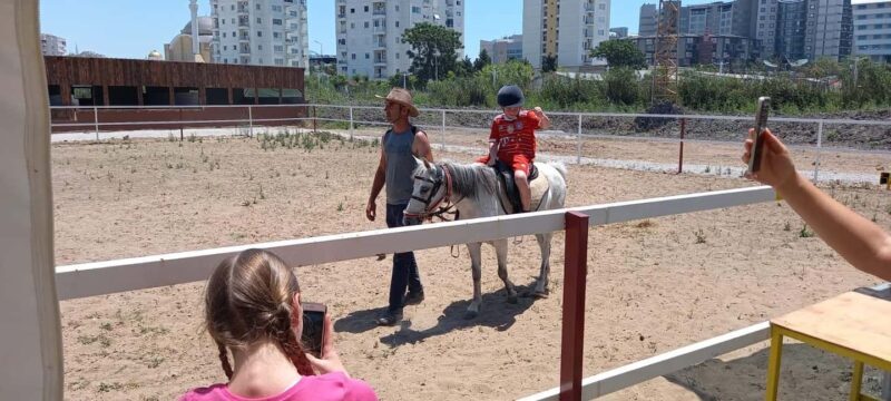 Horse, Camel, and Donkey Riding Experience at the Farm in the Antalya Region - Key Points