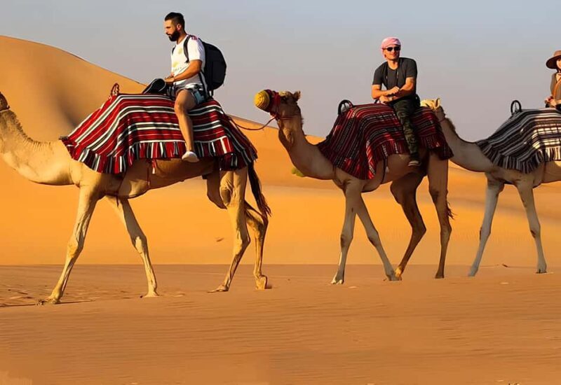 Horse, Camel, and Donkey Riding Experience at the Farm in the Antalya Region - Final Thoughts