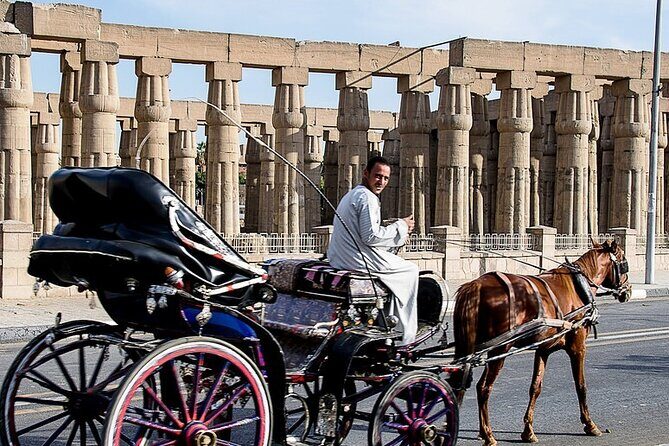 Horse Carriage City Tour in Luxor city with meal and soft drink - Exploring the Horse Carriage City Tour in Luxor