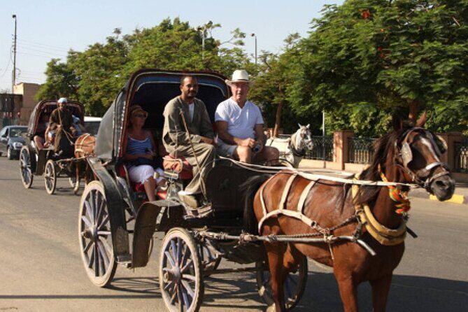 Horse Carriage City Tour in Luxor city with meal and soft drink - The Authenticity and Atmosphere