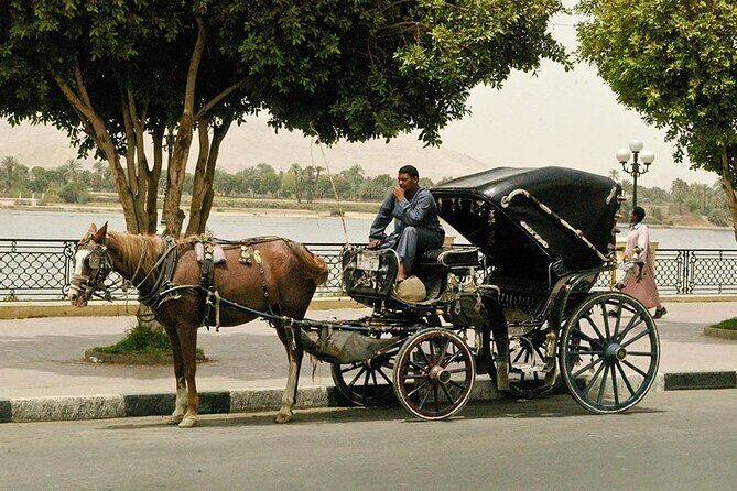 Horse Carriage City Tour in Luxor city with meal and soft drink - FAQ