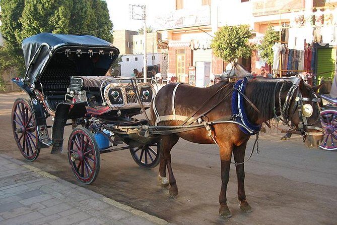 Horse Carriage Ride in Aswan - What Makes This Experience Truly Special