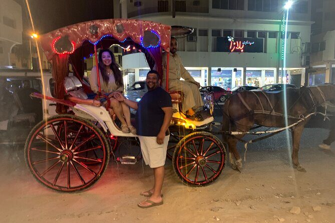 Horse Carriage Ride in Aswan - The Sum Up: Who Will Love This Tour?