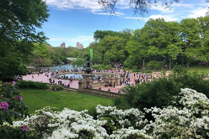 horse-carriage-ride-to-from-tavern-on-the-green-up-to-4-adults