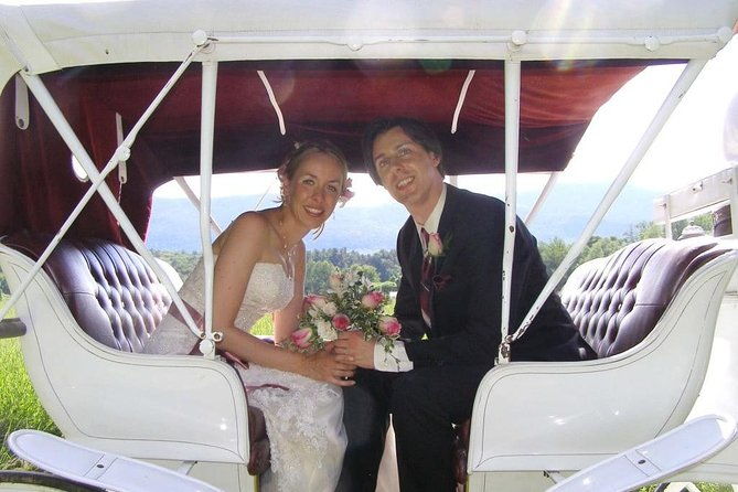 horse-carriage-romantic-ride-vip-private-in-central-park-1964