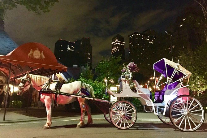 horse-carriage-romantic-ride-vip-private-in-central-park-1964