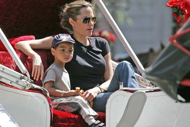 horse-carriage-romantic-ride-vip-private-in-central-park-1964