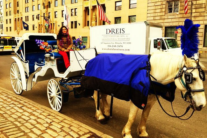 horse-carriage-tour-in-new-york-citys-central-park-small-loop