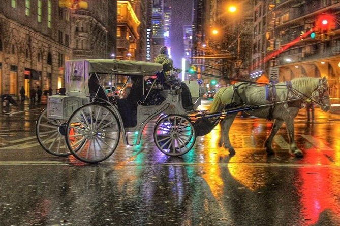 horse-carriage-tour-in-new-york-citys-central-park-small-loop