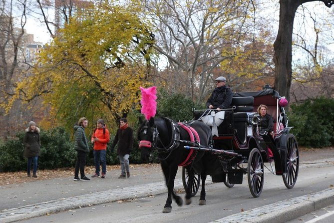 horse-carriage-tour-in-new-york-citys-central-park-small-loop